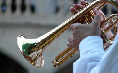 Große Auswahl an Blasinstrumenten für DICH!